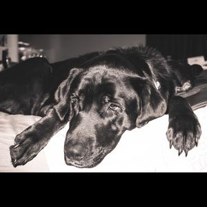 Meet your Posher, Aaron